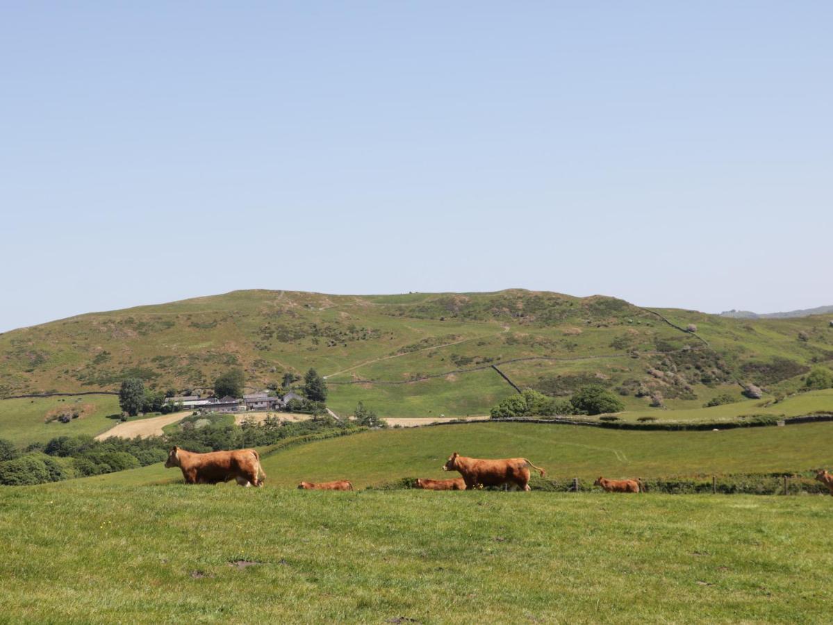 Rowan Villa Ulverston Dış mekan fotoğraf